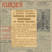 Ocalenie kasztanka na kolejce Mareckiej- 1926